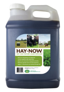 Hay-Now Jug