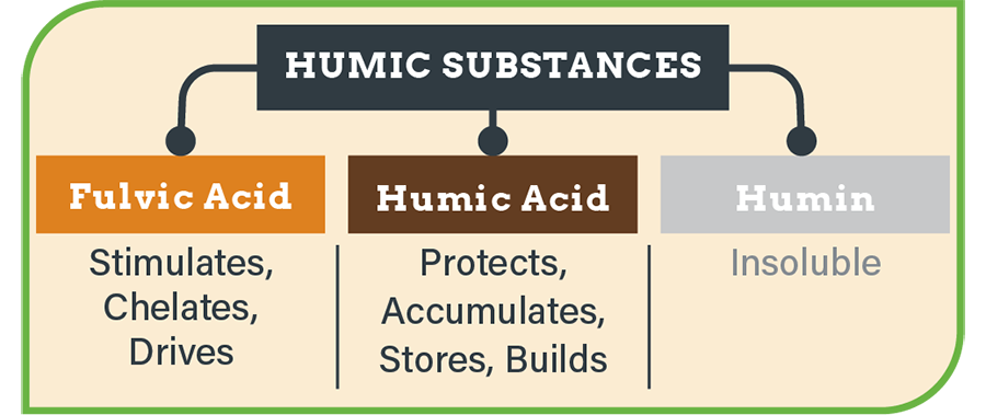 Humic Substances Breakdown Graphic-small