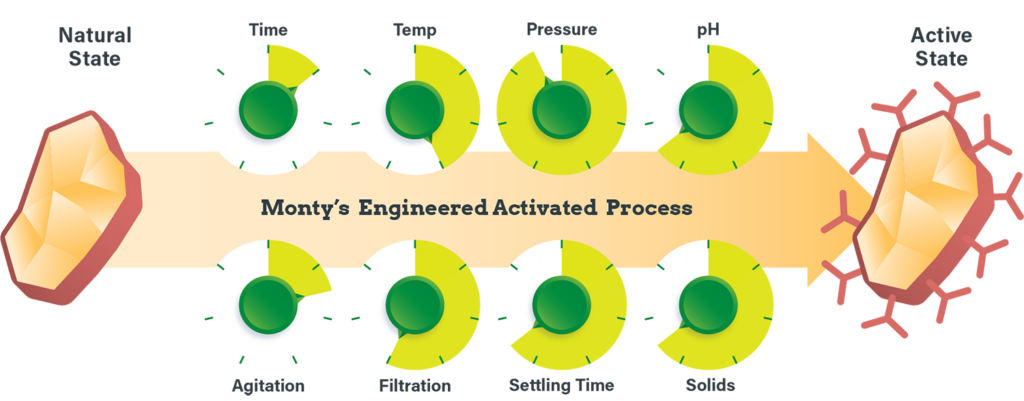 Montys Activated Process V2-small